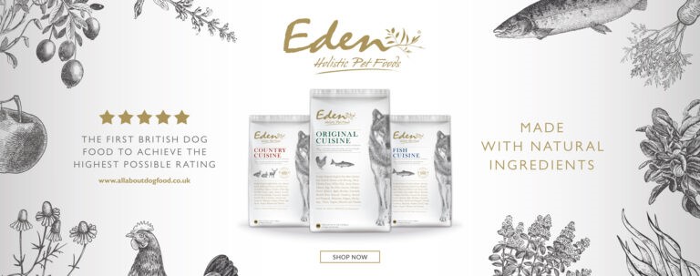 Dog Workout And Rehab - Eden Eden