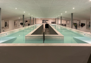 hundesvømmehal